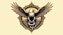 do modern eagle and snake fighting logo with unlimited revisions