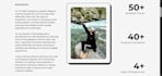 develop a modern and responsive frontend