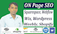optimize squarespace webflow wix, wordpress, weebly, shopify website on page seo