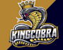design modern cobra logo