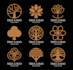create a beautiful and professional tree logo design