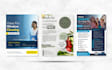 create a professional flyer using canva