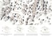 do 3d architecture modelling and diagrams
