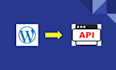 integrate any API in wordpress woocommerce or custom plugin