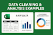 clean and analysis, excel vba data analysis expert