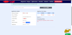 do electronic visa application website with crm