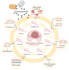 design scientific illustrations, journal figures, and graphical abstracts