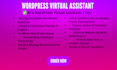 be your professional wordpress virtual assistant