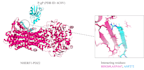 do molecular dynamics simulation, pathway design, dft, qsar