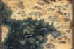 draw maps and fantasy concept art