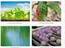 clean, label, train and deploy object detection applications