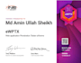perform expert website and API penetration testing