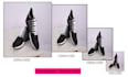image resize , crop image and rename photo professionally