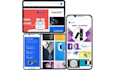 do wordpress website development, design or redesign wordpress blog
