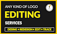 fix , modify ,clone, recreate, ai art to vector, fix logo to print ready file