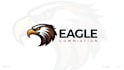 do hawk eagle head usa mascot logo 04 with company