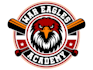 design modern eagle logo
