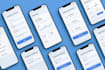 expert on flutter app development