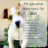 write pet nutrition content