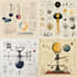 do scientific diagrams and illustrations for you