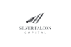design a professional 3d silver badge metallic logo