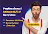provide professional resume and CV writing service