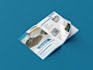 design a professional product brochure for your brand
