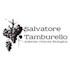 creare logo raster o vettoriale professionale e veloce