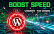 do wordpress speed optimization and fix errors for google pagespeed