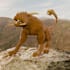 sculpt and texture your stylized 3d character or creature