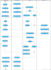 design professional uml diagrams, srs documentation, and erd