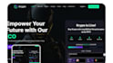 professionally build secure custom fintech crypto blockchain website for startup