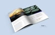 design unique and creative banner or digital ad