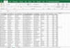 clean, format, and organize your excel data professionally