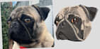 convert your photos into embroidery