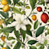 create a beautiful vintage botanical illustration poster