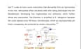do content, research and article writing