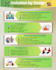 transform text and data into clear, engaging infographic visuals