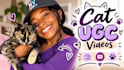 create cat ugc video ads for your product or service