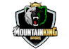 design wonderful bear logo