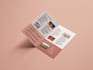 provide different brochure design