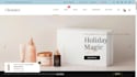 setup shopify dropshipping store or website