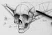 create pen and ink still life drawings and object illustrations