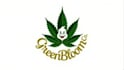 do marijuana leaf plant mascot logo design