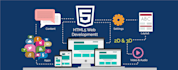 do something I am really good at web development
