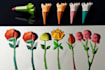 draw flowers, trees or botanical illustration