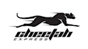 design marvelous panther, wild cat, fierce cat logo