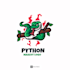 design high quality python, coding, snake logo