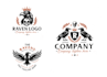 design an attractive raven, crow, bird logo