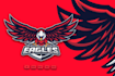 make mascot bird eagle logo within 24 hours